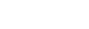 wirenet.com.mx